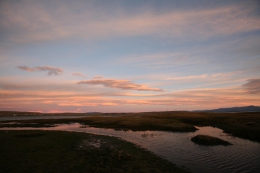 argentina_110